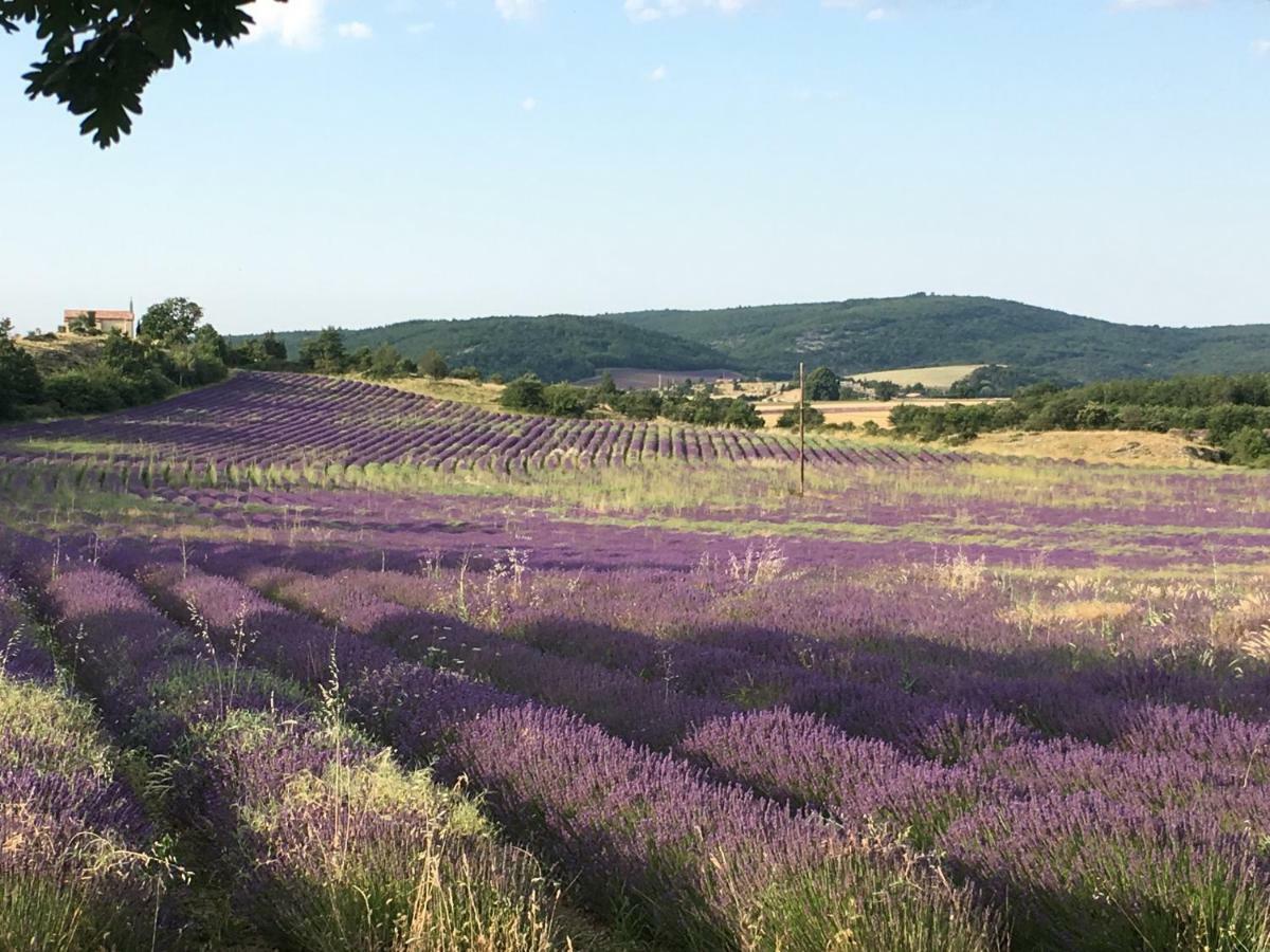 Villa Luberon Saint-Saturnin-lès-Apt Zewnętrze zdjęcie